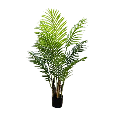 BMR Eugène Monette | Hawaii-type artificial plant